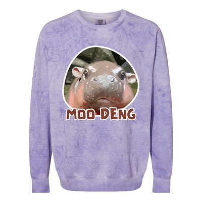 Moodeng The Famous Cute Baby Pigmy Hippo In Thailand Colorblast Crewneck Sweatshirt