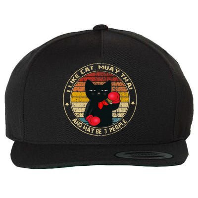 Muay Thai Funny Cat Kickboxing Thailand Boxing Cat Boxing Wool Snapback Cap