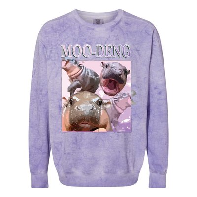 Moodeng The Famous Baby Pigmy Hippo Moodeng Colorblast Crewneck Sweatshirt