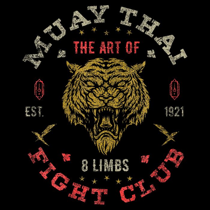 Muay Thai Fighter Vintage Twin Tiger Art Of 8 Limbs Womens T-Shirt