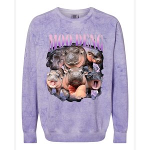 Moodeng The Famous Baby Pigmy Hippo Moodeng Funny Crew Colorblast Crewneck Sweatshirt