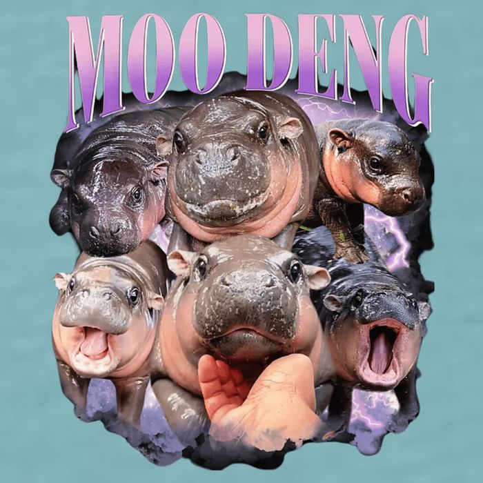 Moodeng The Famous Baby Pigmy Hippo Moodeng Funny Crew Sueded Cloud Jersey T-Shirt