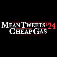 Mean Tweets Gas 2024 16 in Basic Backpack