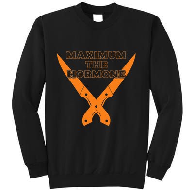 Maximum The Hormone Sweatshirt