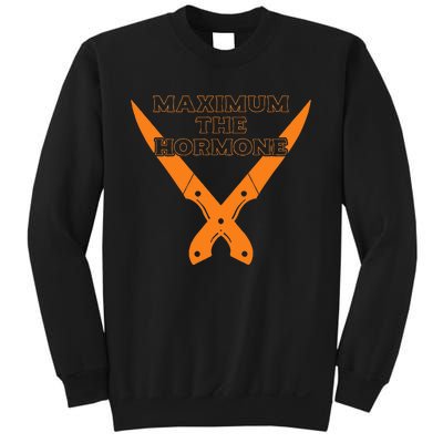 Maximum The Hormone Sweatshirt