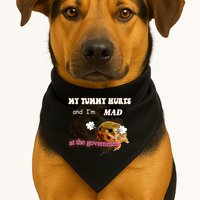 My Tummy Hurts And Im MAD At The Government USA-Made Doggie Bandana