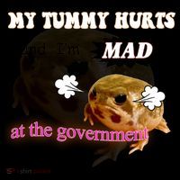My Tummy Hurts And Im MAD At The Government Mug