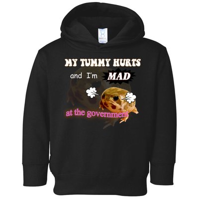 My Tummy Hurts And Im MAD At The Government Toddler Hoodie