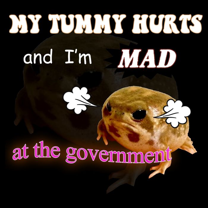 My Tummy Hurts And Im MAD At The Government Kids T-Shirt
