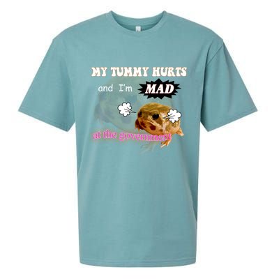 My Tummy Hurts And Im MAD At The Government Sueded Cloud Jersey T-Shirt