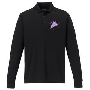 Math teacher hipotenuse math Performance Long Sleeve Polo