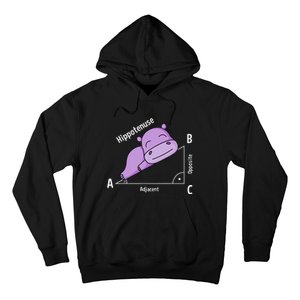 Math teacher hipotenuse math Hoodie