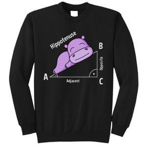 Math teacher hipotenuse math Sweatshirt