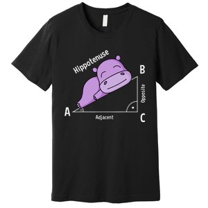 Math teacher hipotenuse math Premium T-Shirt