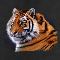 Majestic Tiger Head Adult Drive Performance Visor