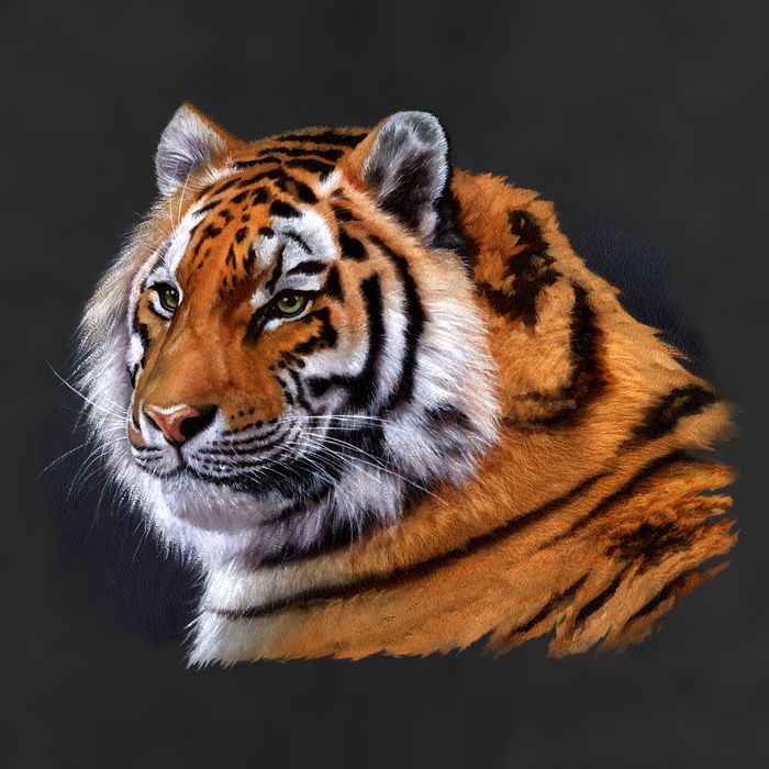 Majestic Tiger Head Adult Drive Performance Visor