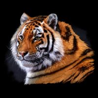 Majestic Tiger Head Drawstring Bag