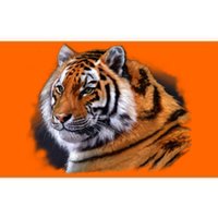 Majestic Tiger Head Bumper Sticker