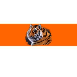 Majestic Tiger Head Bumper Sticker