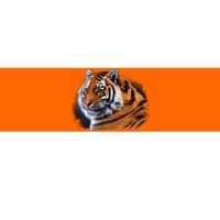 Majestic Tiger Head Bumper Sticker