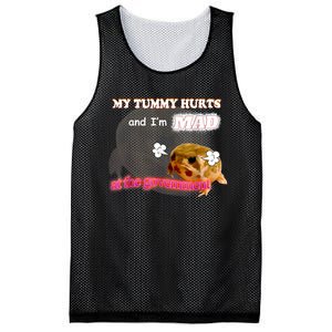 My Tummy Hurts And Im MAD At The Government Meme Mesh Reversible Basketball Jersey Tank