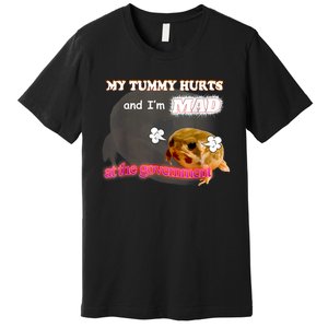 My Tummy Hurts And Im MAD At The Government Meme Premium T-Shirt