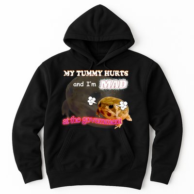 My Tummy Hurts And Im MAD At The Government Meme Hoodie
