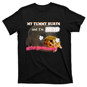 My Tummy Hurts And Im MAD At The Government Meme T-Shirt