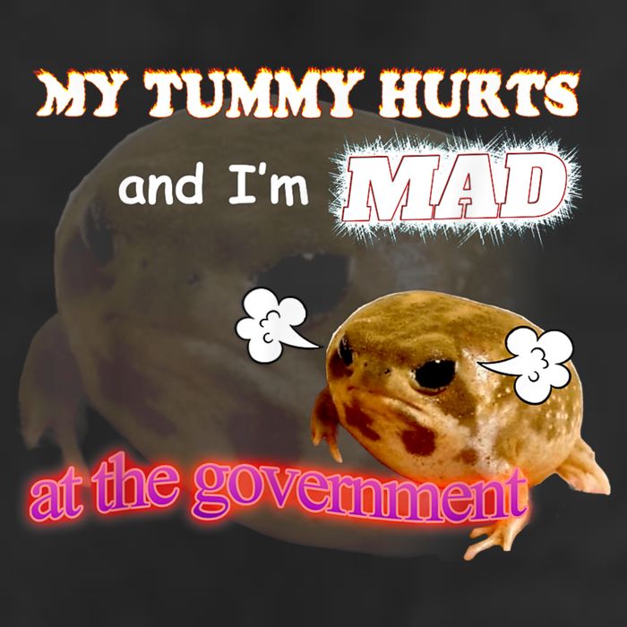 My Tummy Hurts And Im MAD At The Government Meme 15oz Campfire Ceramic Mug