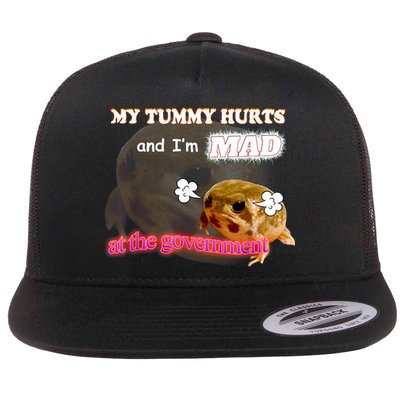 My Tummy Hurts And Im MAD At The Government Meme Flatbill Hat