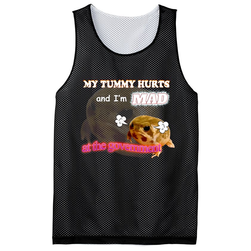 My Tummy Hurts And Im MAD At The Government Meme Mesh Reversible Basketball Jersey Tank