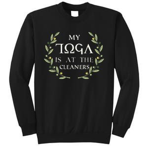 MY TOGA IS AT THE CLEANERS Funny Greek Toga Party Costume Sweatshirt