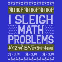 Math Teacher I Sleigh Math Problems Christmas Ugly Sweater Gift Premium T-Shirt