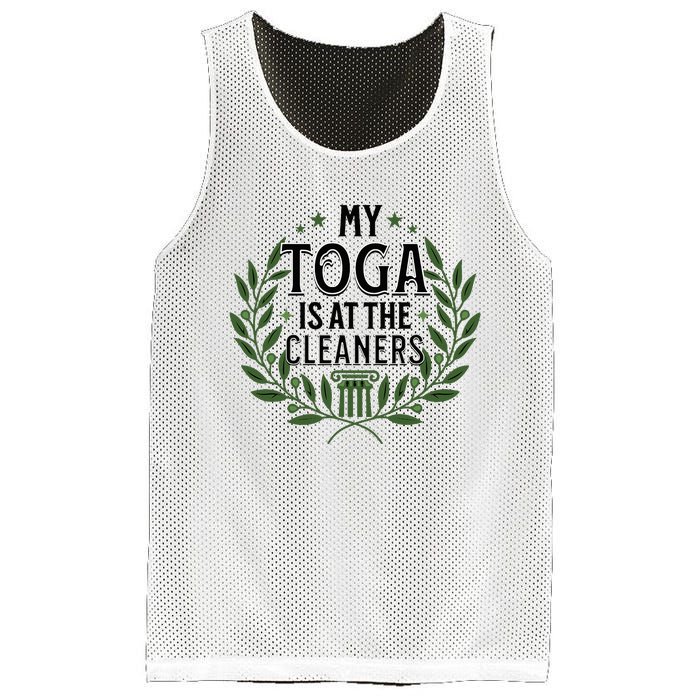 My Toga Is At The Cleaners Funny Toga Party Mesh Reversible Basketball Jersey Tank