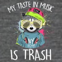 My Taste In Music Is Trash Hip Hop Hipster Raccoon Button