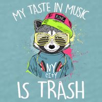 My Taste In Music Is Trash Hip Hop Hipster Raccoon Sueded Cloud Jersey T-Shirt