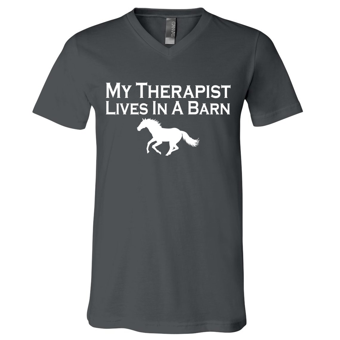 My Therapist Lives In A Barn Horse Lover V-Neck T-Shirt