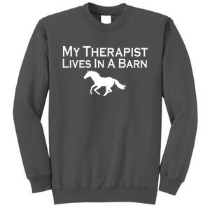 My Therapist Lives In A Barn Horse Lover Tall Sweatshirt