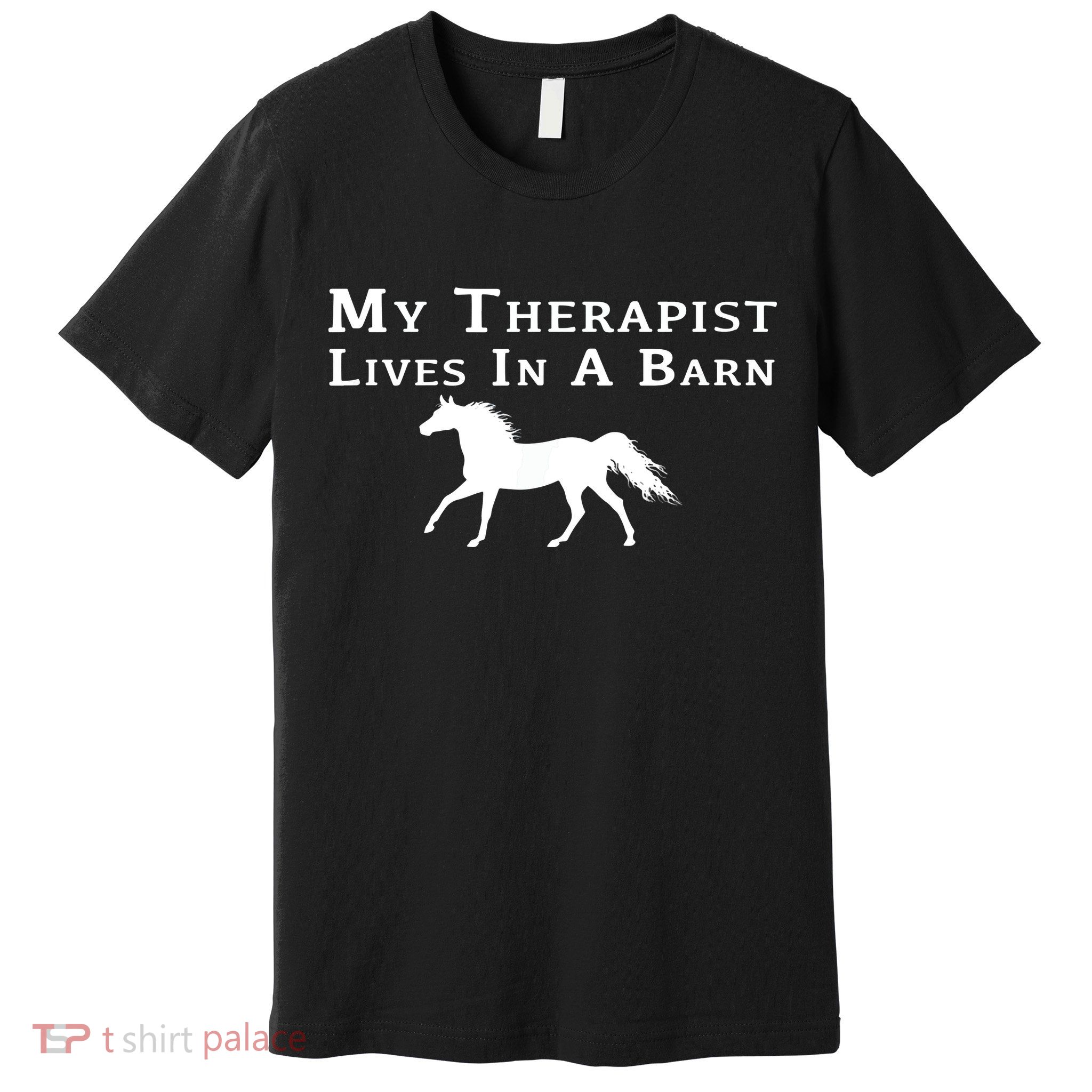 My Therapist Lives In A Barn Horse Equestrian Premium T-Shirt