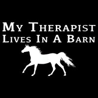 My Therapist Lives In A Barn Horse Equestrian Womens T-Shirt