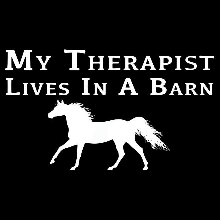 My Therapist Lives In A Barn Horse Equestrian Womens T-Shirt