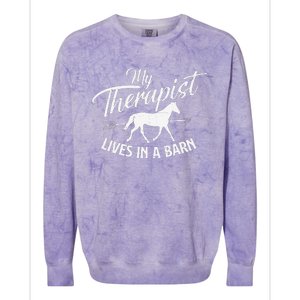 My Therapist Lives In A Barn Horse Lover Horseback Riding Colorblast Crewneck Sweatshirt