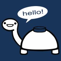 Mine Turtle Hoodie
