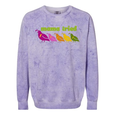 Mama Tried Colorblast Crewneck Sweatshirt