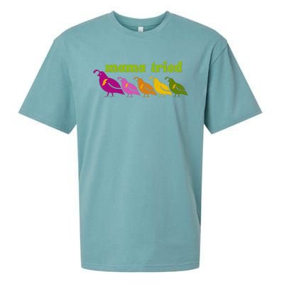 Mama Tried Sueded Cloud Jersey T-Shirt