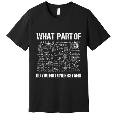 Math Teacher Meaningful Gift Funny Saying Mathematics Quote Teachers Gift Premium T-Shirt