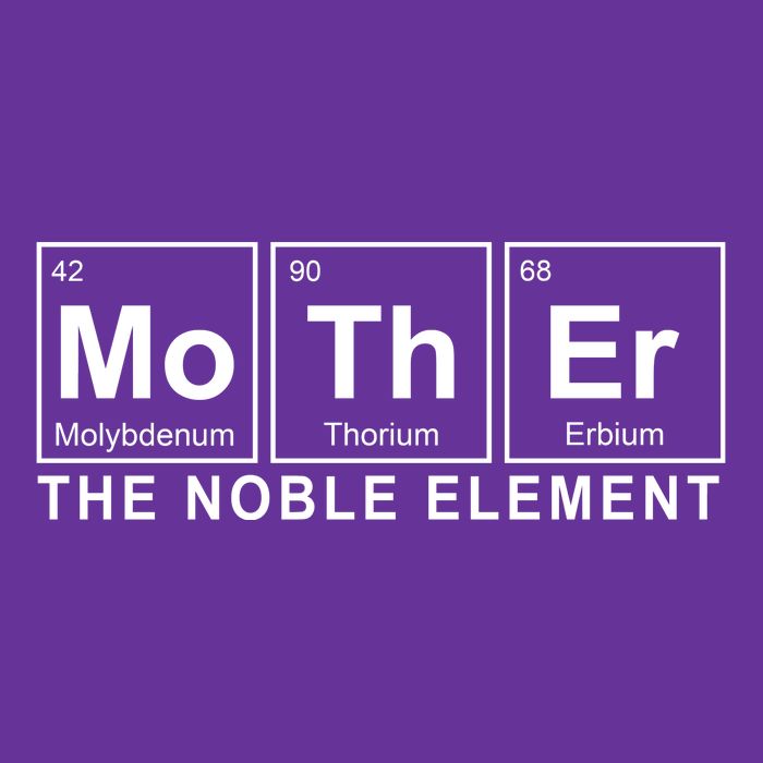 Mother The Noble Element Womens T-Shirt