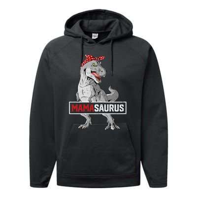 Mamasaurus T Rex Birthday Dinosaur Mommy Family Matching Performance Fleece Hoodie