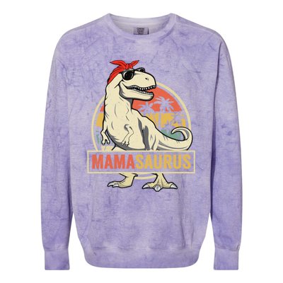 Mamasaurus T Rex Dinosaur Mama Saurus Family Matching Gift Colorblast Crewneck Sweatshirt