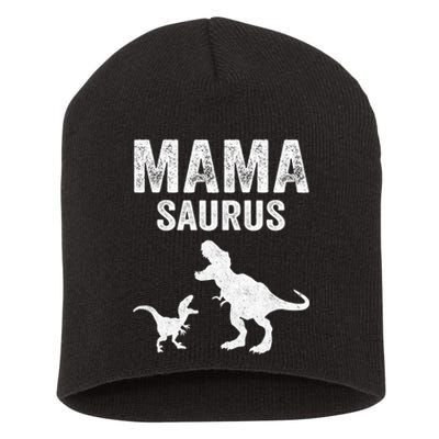 Mamasaurus T Rex Dinosaur Funny Mama Saurus Family Matching Long Sleeve Short Acrylic Beanie